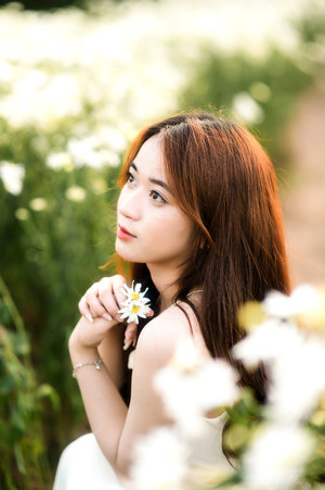 壮丁也是兵电视剧