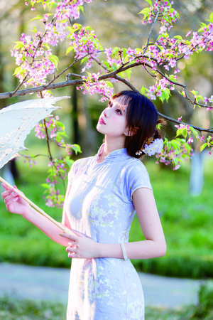 魔女莉莉丝的玩具