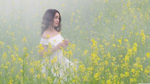 欧美成人手机视频在线网页