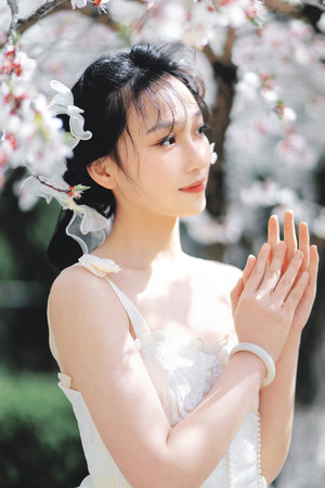 成年无码a√片在线观看