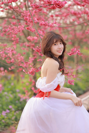 日本一道dvd在线中文字幕