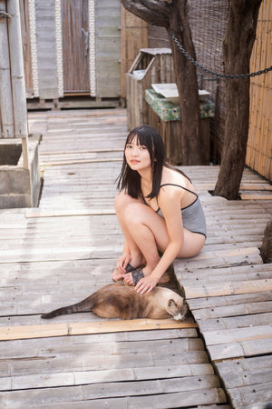 恐龙特急克塞号国语版高清全集