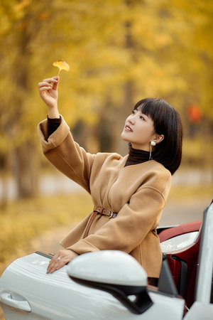 成年女人大片免费视频播放器