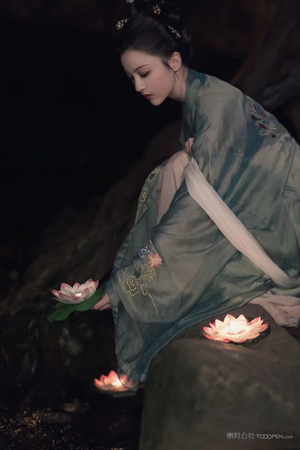 日韩熊出没电视剧在线观看