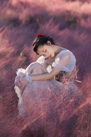 镜花缘之决战女儿国