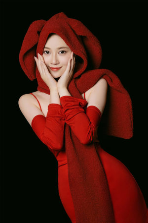 鸳鸯楼完整版电视剧免费观看