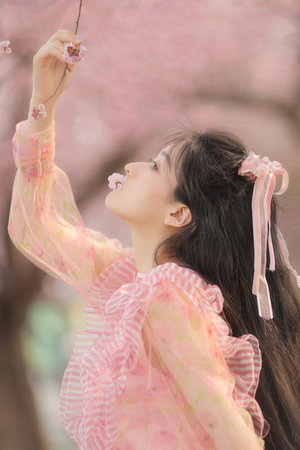 亚洲香蕉视频天天爽