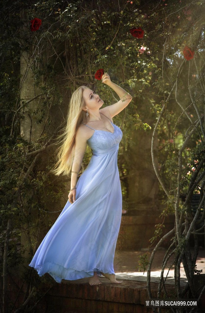 电视剧1一5集潘金莲免费观看