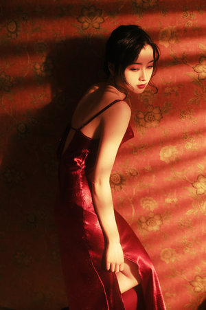 茶杯狐追剧入口