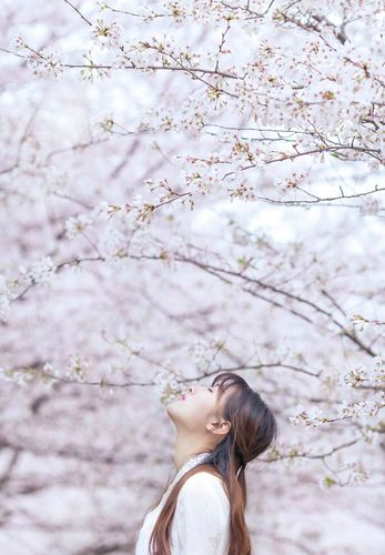 9分10秒视频警察