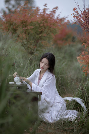 夜空中最闪亮的星