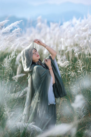 原生之罪电视剧