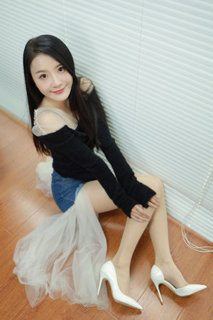 双子星公主国语版全集