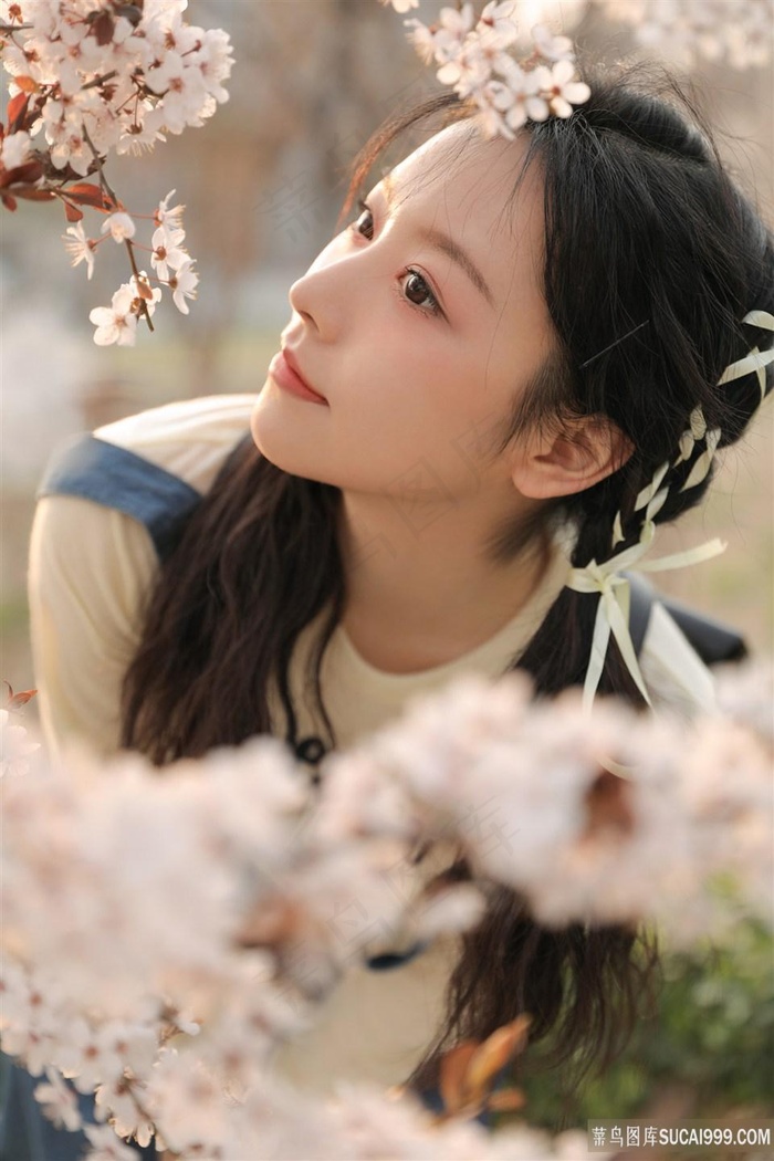 泽村玲子在线观看