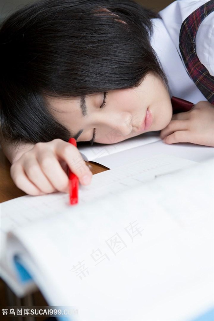 桃花侠大战菊花怪