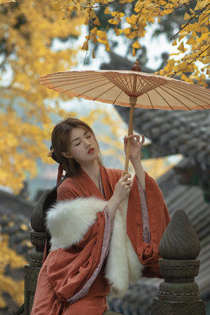 青天衙门第二部高清