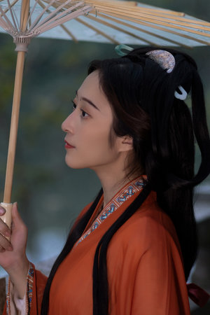 野猫电影高清在线