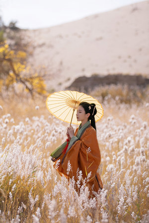 一级a一级a爰片免费免免欧美