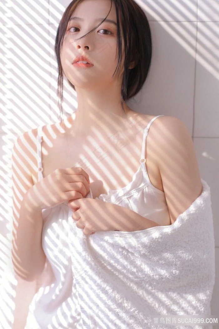 哈利·波特与凤凰社