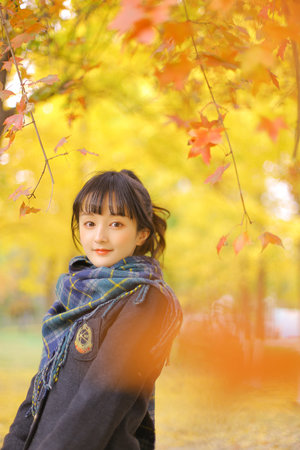 一见倾心电视剧在线观看免费