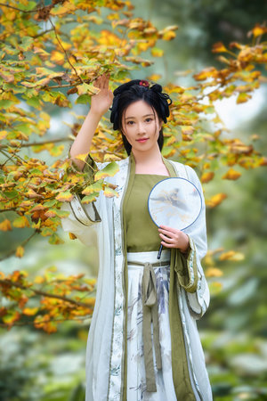 不当哥哥了动画第一季免费观看中文