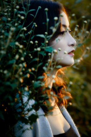 叶罗丽精灵梦第三季