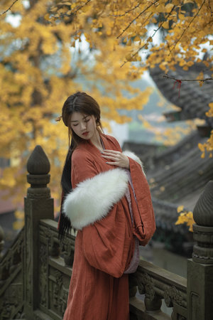 男女又爽又黄免费软件