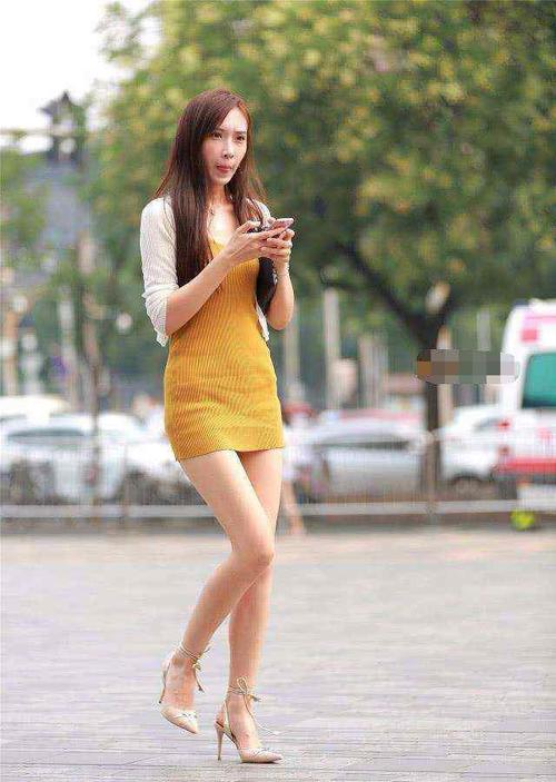 调教女视频免费区视频在线