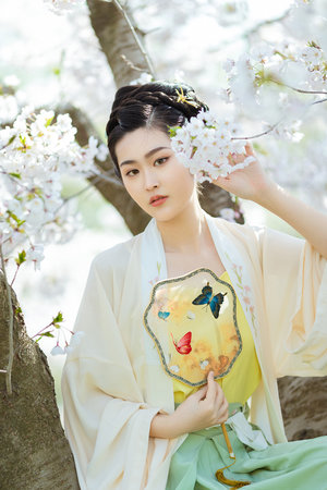 小叮当之羽翼之谜国语版免费观看