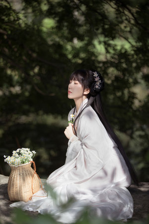 向日葵视频夜晚绽放