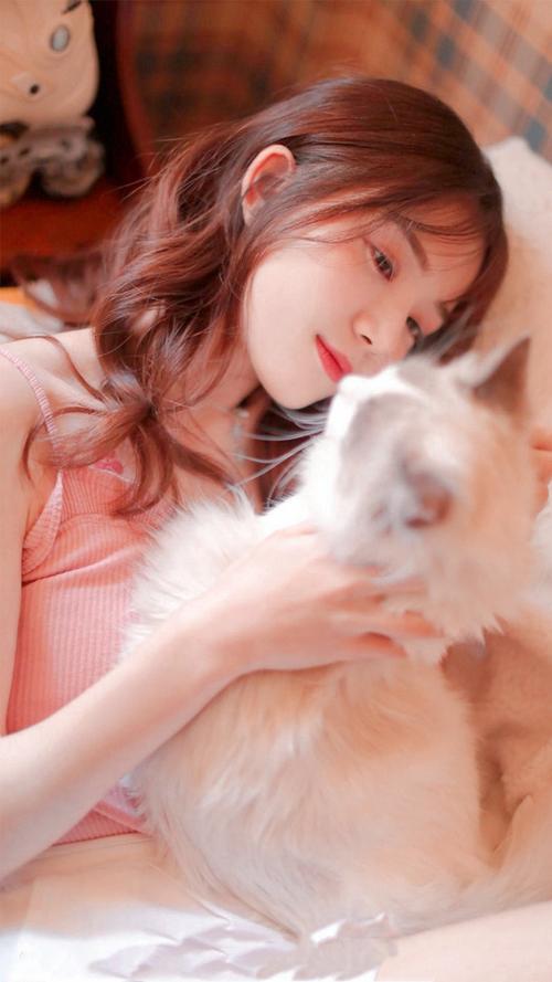 无遮挡免费肉动漫在线观看