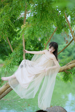 少林寺俗家弟子