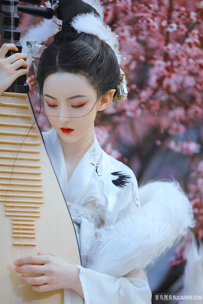 中文在线高清电视剧免费播放