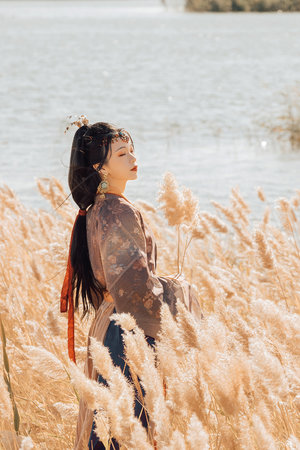 高清性欧美暴力猛交免费