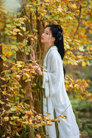 日本一级淫片a免费播放