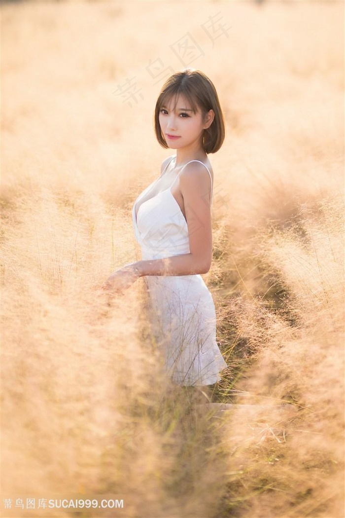 老水浒传83版免费观看全部