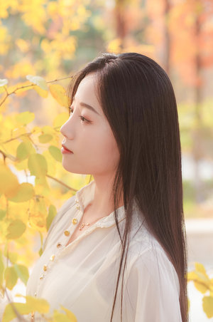 良辰好景知几何一共多少集