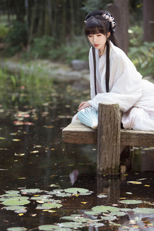 日本高清乱理伦片A片