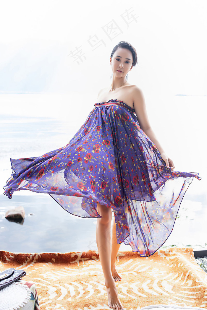 在线观看中文字幕dvd播放