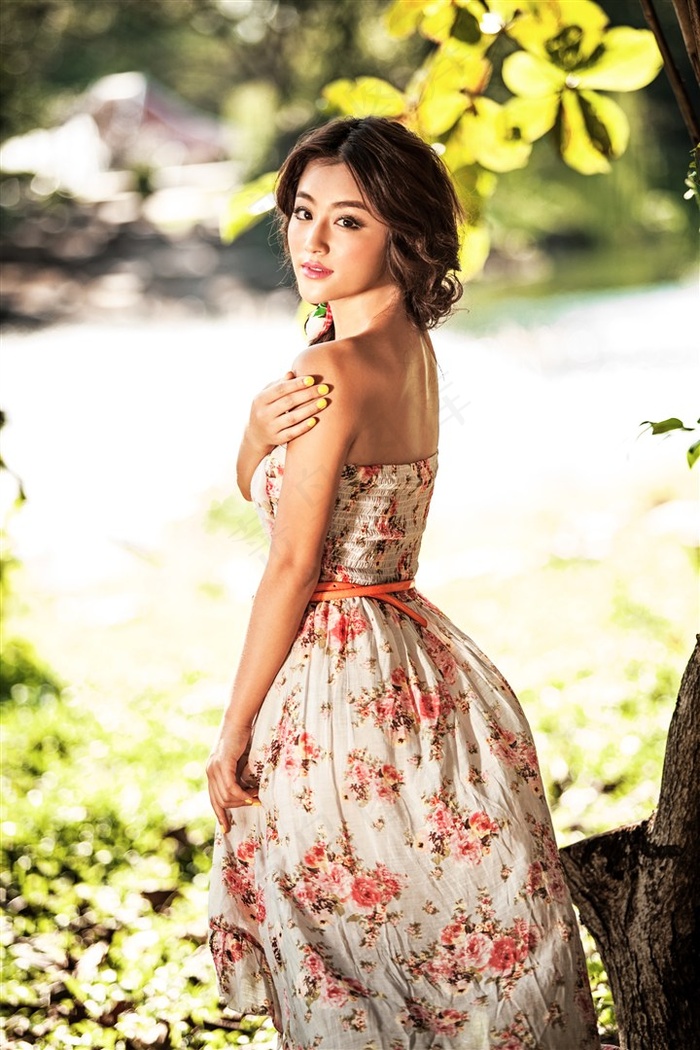 晴雅集免费观看完整版在线观看