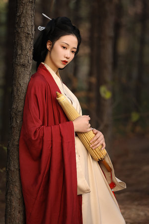 把家虎电视剧全集观看