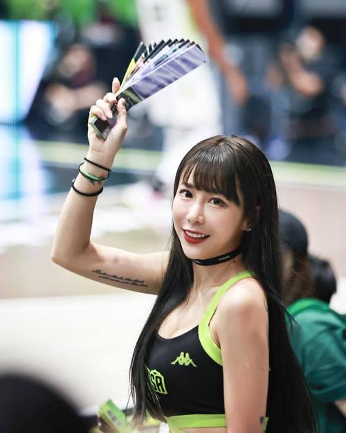 恐龙特急克塞号国语版高清全集