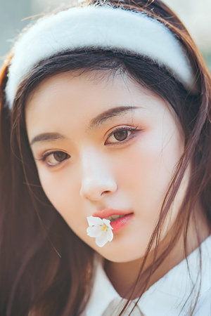 将军夫人又跑了