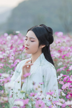 寡糖电影免费观看完整版