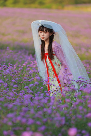 斗破苍穹动漫樱花动漫