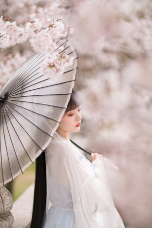 深夜食堂免费看