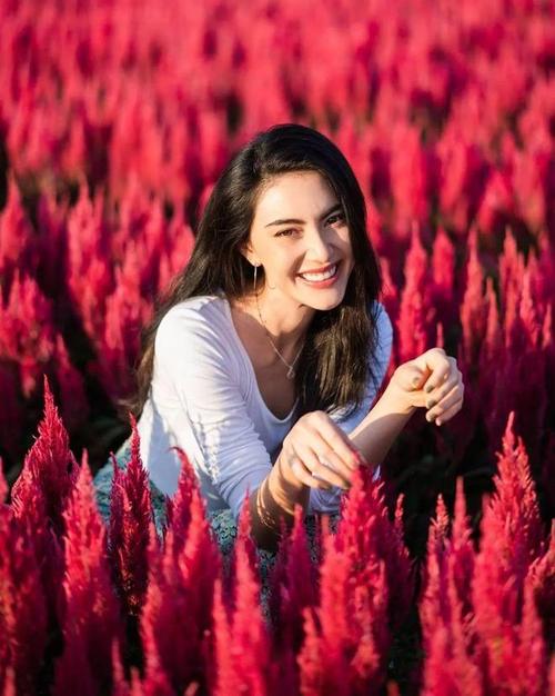 我的室友非人类