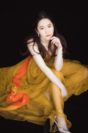 小猪视频在线下载大全