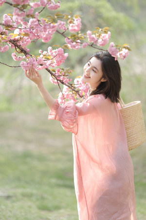 中文字幕的北条麻妃全部视频