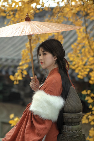 金刚 骷髅岛 下载